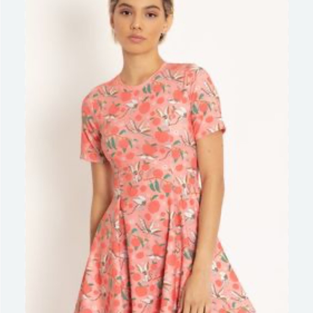 Blackmilk Peaches & Momo Avatar: The Last Airbender Dress